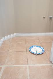 Grout Paint Before And After Easy Tile