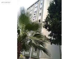 İzmit kadıköy mahallesi merkezi konumda satılık 3+1 daire. Izmit Yahya Kaptan Da 3 1 120 M Satilik Daire Vilmax Gayrimenkul