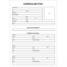 Usar um gerador online e baixar o arquivo pronto em pdf; Curriculum Vitae Para Preencher E Imprimir Pdf