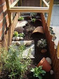 Amenagement De L Enclos Exterieur Pour Tortue Enclos Tortue Enclos Tortue De Terre Tortue