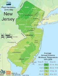 New Jersey Planting Zone Map Small Planting Zones Map Plant Hardiness Zone Map Planting Calendar