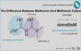 What Is The Difference Between Metformin And Metformin Er What Is The Difference Between Metformin And Metformin Extended Release Buy Quality