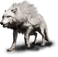 Far Cry Primal Animals Beast Mastery Ubisoft Ca Far Cry Primal Dire Wolf Prehistoric Animals