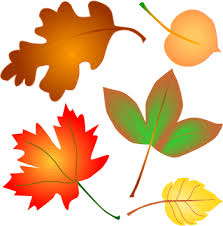 Image result for 5 autumn leaves