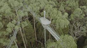 Otway Fly Treetop Adventures Great Ocean Road Victoria Australia Places To Go Adventure Ziplining