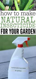 Homemade garlic mint garden insect spray. How To Make Homemade Insecticide All Natural Pesticide Homemade Insecticide Insecticide For Plants Natural Pesticides