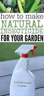 We did not find results for: How To Make Homemade Insecticide All Natural Pesticide Homemade Insecticide Insecticide For Plants Natural Pesticides