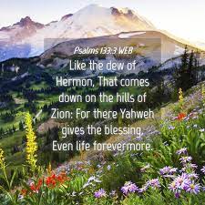 Psalms 133:3 Web - Like The Dew Of Hermon, That Comes Down On The