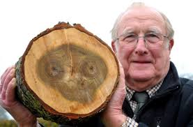 Face of ET found in tree trunk by wood-chopping pensioner