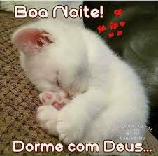 Boa Noite Priscila Ribeiro Google As Melhores Mensagens De Boa Noite Pinterest Kittens Cute Animals E Cute Cats