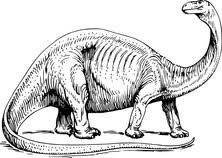 W naszej kolorowance prezentujemy sympatyczną rodzinkę dinozaurów. Dinozaury Kolorowanki Do Druku