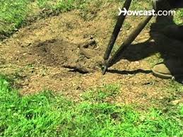 Removing tree stumps is no easy task. How To Remove A Tree Stump Youtube