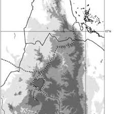 Image result for Gutenbergia rueppellii