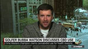 Bubba Watson Cbd In Golf A No Brainer Cnn