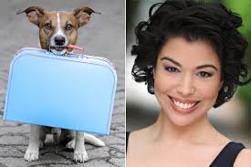 Meet the people making $3,300 a month pet-sitting for strangers