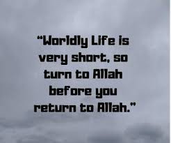 Complaining against others in this world is meaningless according to the quran: 50 Islamic Quotes In English For Life
