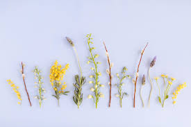 Cute laptop wallpaper macbook air wallpaper wallpaper collage cute desktop wallpaper wallpaper notebook beige wallpaper aesthetic desktop wallpaper computer. Pastel Aesthetic Flower Wallpaper Computer Novocom Top