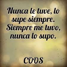 Coos Casualidad Amor Nunca Lo Creiste Frases Bonitas Frases Sobre La Vida Frases Cursis