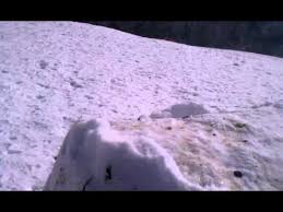 Little boy building snowman in winter park. Rolling A Giant Snowball Down A Hill Youtube