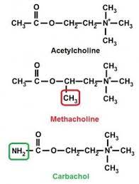 Pin On Epharmacology