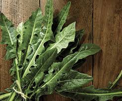 We did not find results for: Dandelion Greens Ingredient Finecooking