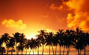 ❤ get the best sunset beach wallpaper on wallpaperset. 10 Best Free Beach Wallpapers Of 2021