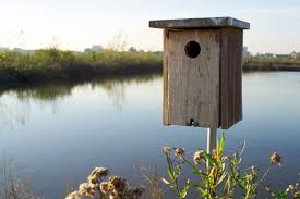 Make a side opening door for. How To Build A Wood Duck Nest Box Feltmagnet