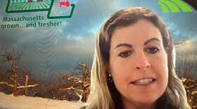 Western Mass. lawmaker promoted, as House speaker puts more women in  leadership posts