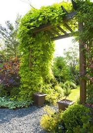 Pin By Angela Schmick On Outdoor Spaces Garden Trellis Cottage Garden Pergola