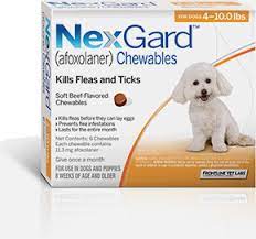 We did not find results for: Nexgard Flea Tick Chewable For Dogs Penny Paws