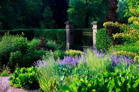 Virtuelles forum über pflanzen der welt und ihre bedeutung in. Garten Ohne Grenzen Saarschleifenland