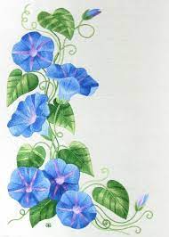 Image Result For Hand Painted Morning Glories On Rock Flower Drawing Morning Glory Tattoo Flower Painting