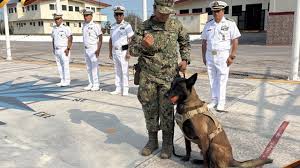 Diversas actividades celebrará Isla Mujeres para conmemorar Día de la Marina.