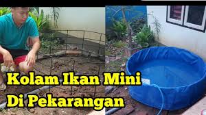 Mudah Cara Membuat Kolam Ikan Mini Dirumah Sendiri Youtube
