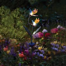 Shop for solar garden lights in outdoor solar lighting. Solar Powered Decorative Ideas To Light Up Your Yard