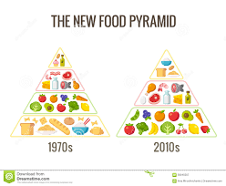 The New Food Pyramid Stock Vector Illustration Of Eating