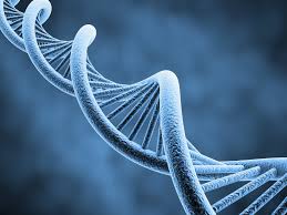 Nosey is the free tv video app with full episodes of the best of maury povich, jerry springer, steve wilkos, sally jessy raphael nosey lets you watch wherever, whenever and for as long as you want. Government Is Nosey Enough Does It Really Need Your Dna Too As I See It Pennlive Com