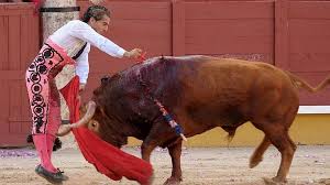 Image result for ivan fandiño