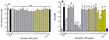 Image result for Eriosema montanum