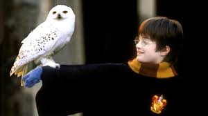 Harry Potter and the Sorcerer's Stone: Trailer 1