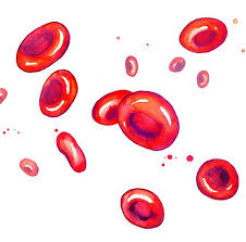 These components can also be counted under the microscope on a glass slide by a trained laboratory technician or a doctor and referred to as the manual wbc differential. Blood Cells Microscope