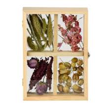 Buy many of our plants online and get them shipped to your door. Shop Esschert Design
