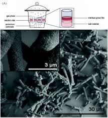 A, Mineralization scheme of cobalt carbonate deposition through...