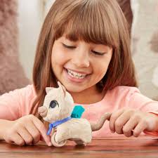 Products Archive Page 31