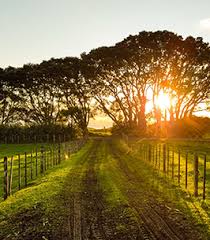 Obituary for Charles William "Poppa" Dinkins