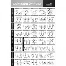 Newme Fitness Dumbbell Workout Exercise Poster Strength Training Chart Build Muscle Tone And Tighten Home