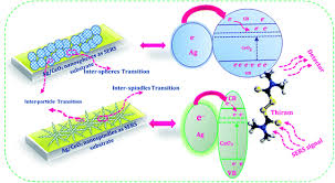 Thus, our detection method offers prominent advantages, such as reduced assay time. Efficient And Tunable Shape Selective Synthesis Of Ag Ceo2 Nanostructures Modified Highly Stable Sers Substrate For Ultrasensitive Detection Of Pesticides On The Surface Of An Apple Nanoscale Advances Rsc Publishing