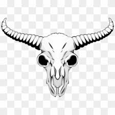 Maybe you would like to learn more about one of these? Skull Png Download Drawing Of Animal Skulls Clipart 2658307 Pikpng