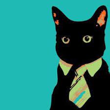 Pin On Cat Wallpapers
