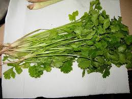 You can use your computer keyboard or mouse to type english letters with this online keyboard. Ketumbar In English